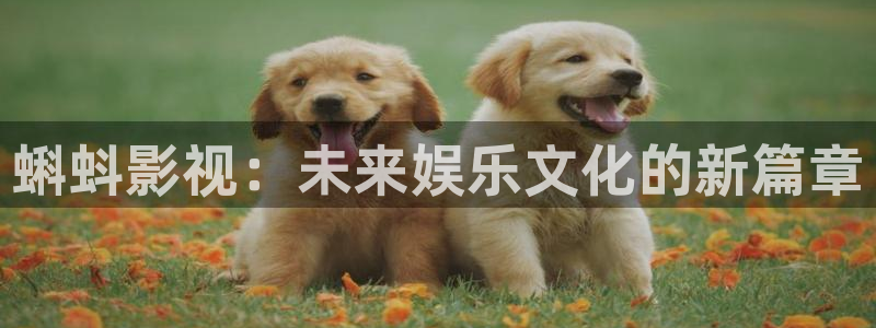 yy6080影视在线观看：蝌蚪影视：未来娱乐文化的新篇章